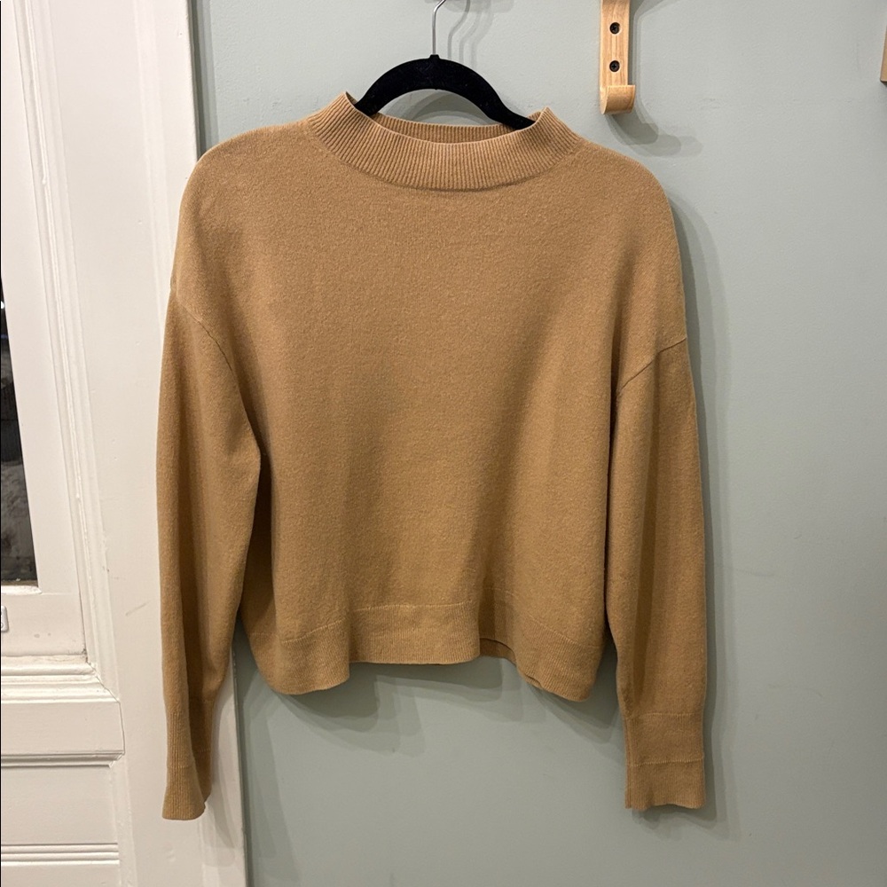 Everlane cashmere mockneck brown Tan Sweater